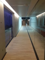 Scuola Hannah Arendt -frassino 2 strip